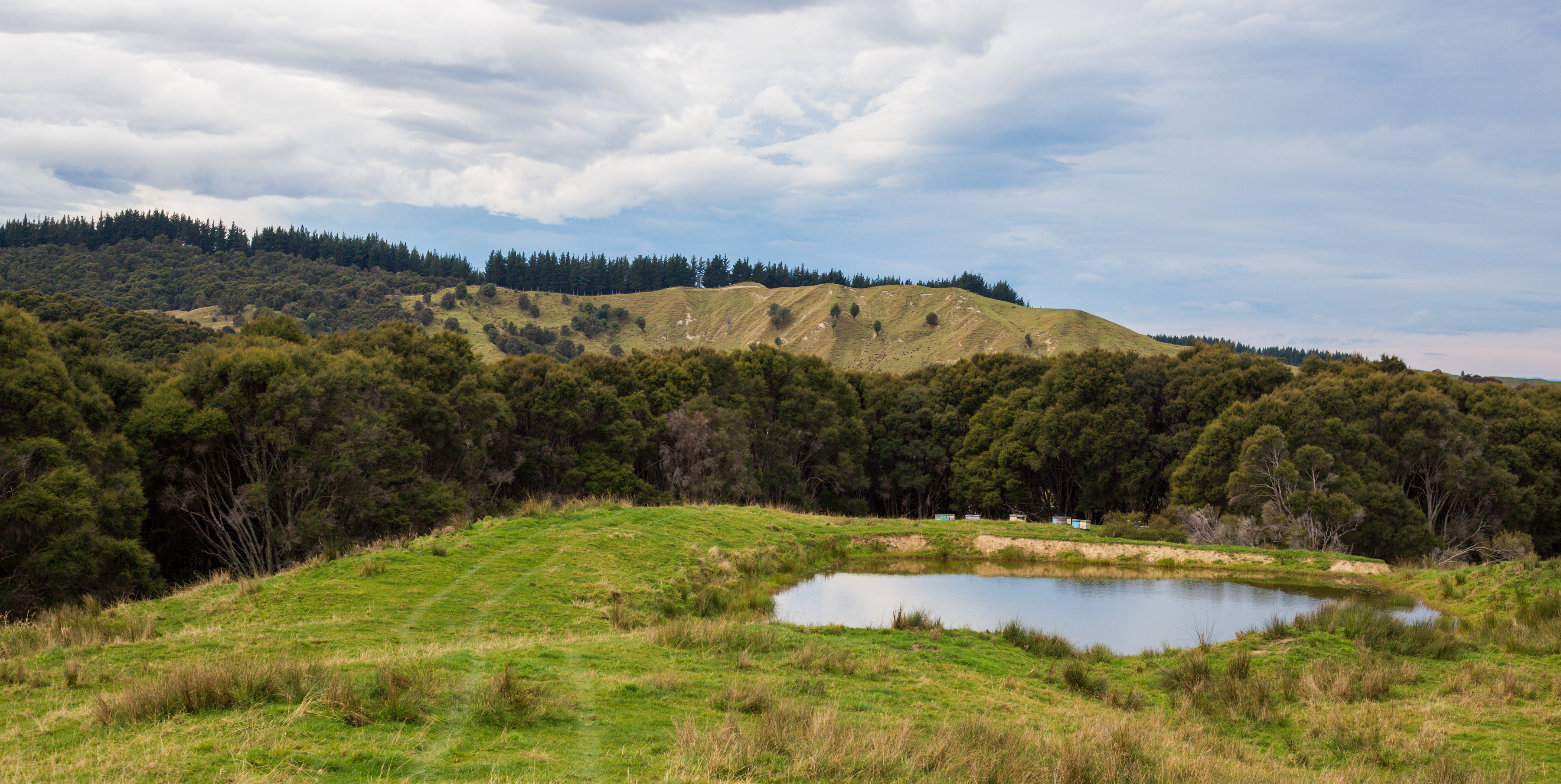 Paroa Station farmland