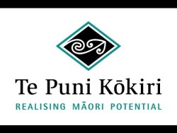 Te Puni Kōkiri